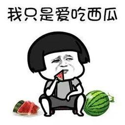 娱乐吃瓜的第一个视频,首期视频精彩内容抢先看